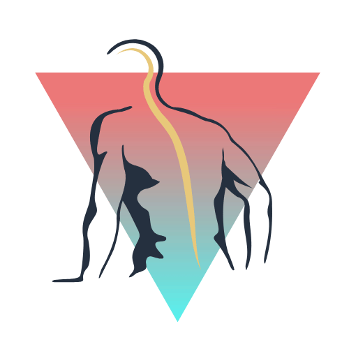Graphic of a muscular person with the spine highlighted, representing strength and condition in Lima, Ohio at Lima Area Spine + Sport
